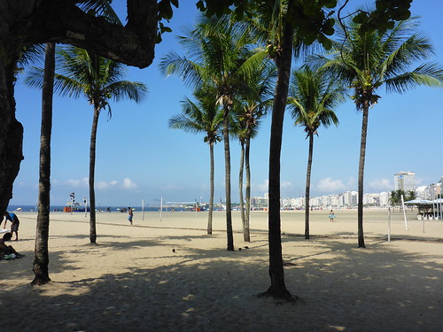 Palms at Copacabana